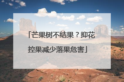 芒果树不结果？抑花控果减少落果危害
